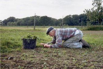 Ohne Moos nichts los - "The Good Earth" war ein Acker an der Stadtgrenze von Essen und Mülheim. Bestellt wurde er von zwei Rentnern und einer Rentnerin in ökologischem Feldbau. Fünf Jahre lang hat der Fotograf Andreas Weinand ihr spätes Glück der Feldarbeit von der Saat bis zur Ernte dokumentiert - auch diesem Thema begegnet man in der neuen Ausstellung im Hygiene-Museum in Dresden. 