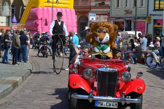 Oldtimer lassen Altstadtfest nicht alt aussehen - Der Oldtimerkorso zum Altstadtfest, angeführt von einem Wagen mit dem Mittweidaer Maskottchen und OB Ralf Schreiber,  führte am Sonntagnachmittag durch die Innenstadt von Mittweida und lockte viele Schaulustige an.