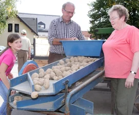 historische Kartoffelsortiermaschine