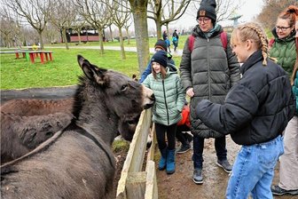 Oma- und Opa-Tag im Sonnenlandpark Lichtenau: 500 Besucher seit Start in die Wintersaison - Zum Kindergeburtstag im Park hat eine Familie Station im Wildgehege mit etwa 200 Tieren gemacht. Streicheleinheiten erhielten Esel. 