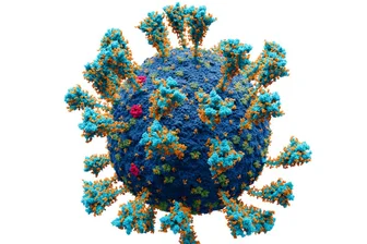 Online-Selbstauskunft für Coronainfizierte findet Anklang - Symbolbild: Coronavirus