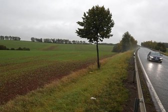 Option auf Gewerbegebiet bleibt - Die Möglichkeit auf ein Gewerbegebiet an der B 173 will sich die Mehrheit der Stadträte Lichtensteins nicht verbauen. 
