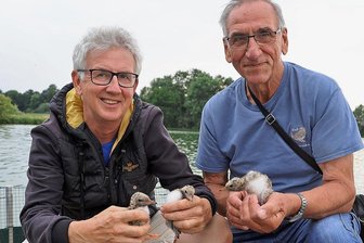Ornithologen machen sensationelle Entdeckung auf dem Glauchauer Stausee - Jens Hering (links) und Dieter Kronbach präsentieren den Nachwuchs der Flussseeschwalben, die sich auf der Brutinsel im Glauchauer Stausee angesiedelt haben.