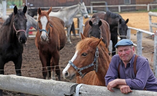 Ortmannsdorfer will keine Pferdesteuer zahlen - Dieter Unger schaut skeptisch. Er hat 34 Pferde auf seinem Hof, davon 20 eigene. Die Pferdesteuer wäre für ihn eine riesige Belastung.