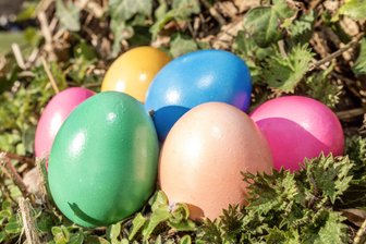 Ostereierjagd in Burgstädt: Wo sind die goldenen Eier überall versteckt? - Ostern steht vor der Tür und überall werden Eier gesucht. So auch in Burgstädt.