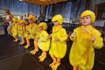 Ostermarkt in Meerane: Besucher gerührt von tanzenden Mini-Küken - Die Mini-Tänzerinnen der Meeta Girls präsentierten sich beim Ostermarkt als quietschgelbe Küken. Foto: Andreas Kretschel
