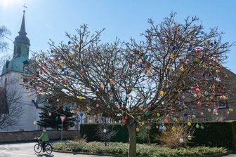 Osterschmuck setzt Bäume in Wiederau farbenfroh in Szene -