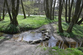 Osterspaziergang fällt ins Wasser: Brücke über den Plotzbach im Zwickauer Plotzgrund ist verschwunden - Die Betonplatten über den Plotzbach sind weg. Wanderer müssen über Steine balancieren.