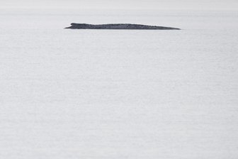 Ostseewal – warum ein letzter Rettungsversuch überrascht - Der Buckelwal liegt weiterhin vor der Insel Poel. Laut Mecklenburg-Vorpommerns Umweltministerium ist die Lage unverändert. Der kranke und geschwächte Wal liegt bereits seit 16 Tagen auf dieser Stelle.
