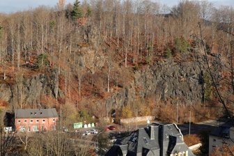 Ottenstein: Viele Buchen Fall für die Säge - Ab Mitte des 19. Jahrhunderts wurden auf dem Ottenstein in Schwarzenberg gezielt vor allem Rotbuchen für einen Park angepflanzt. Viele der Bäume sind nicht mehr stand- oder bruchsicher.