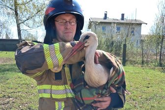Outdoor-Sex mit bösen Folgen: Warum die Feuerwehr im Vogtland einen Storch retten musste - Patrick Brenner-Fischer brachte den geretteten Vogel ins Freie.