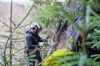 Outdoorteam bereitet Felsen im Westerzgebirge für Klettersaison vor - Am Klettersteig wurden kleine Bäumchen und lose Steine vom Felsen entfernt.