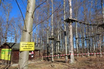 Pächter fällt uralte Buchen im Werdauer Kletterwald – Zukunft der Freizeitanlage ist ungewiss - Im Kletterwald Werdau an der Friedenssiedlung ist die Saison abgesagt. Der Pächter hat bereits einige Buchen gefällt. Im Herbst geht die Durchforstung weiter. Dann soll eine Entscheidung zur Zukunft der Freizeitanlage fallen.