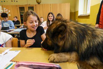 Pädagoge auf vier Pfoten: Wie Schulhund Teddy im Erzgebirge im Unterricht hilft - Mit Erlaubnis der Schulleiterin darf Gerda Hänel Teddy ein Leckerli geben.