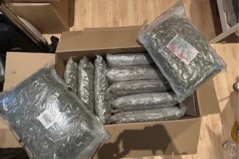 Paket aus Thailand: Zollfahnder schnappen in Chemnitz zu - Ein Paket aus Thailand mit 20 Kilogramm Marihuana war der Ausgangspunkt für eine Wohnungsdurchsuchung in Chemnitz.