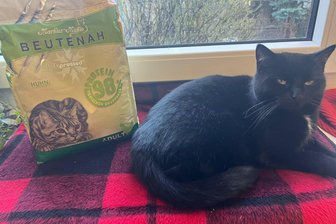 Paket für „Frau Motzi“: Zoo-Katze im Erzgebirge bekommt Geschenk - Zoo-Katze Motzi im Auer Tierpark hat ein Paket mit Spezialfutter bekommen.