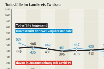 Pandemie sorgt für deutliche Übersterblichkeit im Landkreis - 