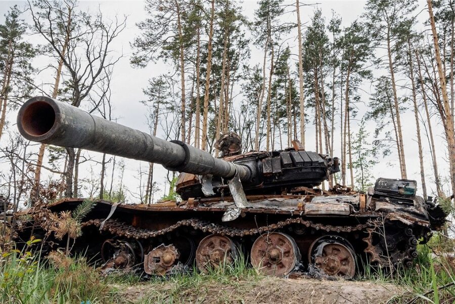 Panzer im Reservat: Wie Naturschützer im Kriegsgebiet arbeiten - Durch die Polesie gekommen: Ein zerstörter russischer Panzer steht am Straßenrand, rund 30 Kilometer westlich von Kiew und am Südrand des ausgedehnten ukrainisch-belarussisch-russischen Waldgebietes. 
