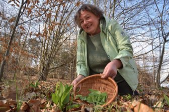 Paradies für Wildkräuter im Vogtland: „Die Menschen sind extrem wissbegierig“ - Über 40 Wildkräuter lassen sich auf dem Kräuterhof von Petra Jeschek in Lottengrün finden.