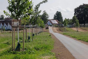 Park am Park in Meerane: Namensfindung im Eiltempo - Dort, wo einst die Drews-Brache stand, ist eine Parkfläche entstanden.