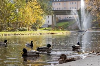 Park, Bäume, Schule: Das bewegt die Buchholzer - Für den Waldschlößchenpark soll mehr geworben werden. Eine bessere Beschilderung ist dabei ein Aspekt. Auch mit Veranstaltungen soll die Anlage mehr Aufmerksamkeit bekommen. 