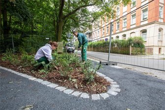 Parkeingang im Plauener Preißelpöhl: Lehrlinge pflastern Weg und legen Blumenrabatte an - Lara Könitzer und Tobias Riedel, Lehrlinge der Plauener ISP, hübschen den Eingang zum Preißelpöhler Wald auf.