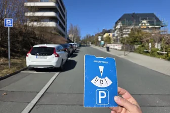 Parken in Bad Elster: Diese Regeln gelten - Die neuen Regeln in Bad Elster gelten für viele Stellflächen individuell. Fahrer müssen genau auf die Schilder achten.