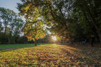 Parkfest in Meerane: Organisatoren überraschen mit Schlechtwetter-Plan - Blick in den Wilhelm-Wunderlich-Park in Meerane: Hier soll am dritten Juni-Wochenende das Parkfest stattfinden.