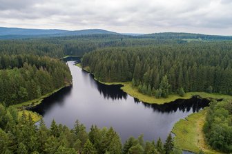 Parkplatz für ein halbes Jahr gesperrt: Wo Besucher des Vogtlandsees jetzt parken können - Rund um den Vogtlandsee wird das Moor wieder zum Biotop gemacht. Dafür wird ein Parkplatz gesperrt.
