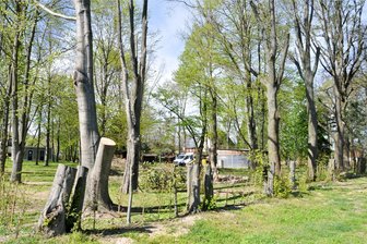 Parkprojekt in Kriebstein: Rückschlag nach Firmeninsolvenz - Die Umgestaltung des Gemeindeparks in Grünlichtenberg läuft. Ob die Arbeiten in diesem Monat zum Abschluss kommen, ist ungewiss.