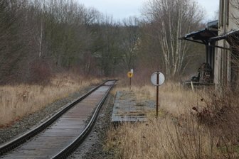 Pausaer will für Zughalte in seiner Stadt kämpfen - In Pausa rollen die Züge ohne Halt durch. Nach und nach holt sich die Natur den Bahnsteig zurück.