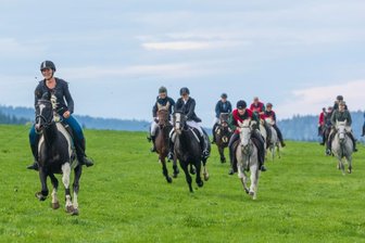 Peggy Lang gewinnt Rittersgrüner Fuchsjagd - 