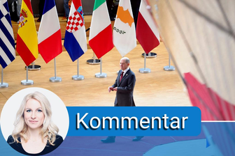 Peinlich und destruktiv - Katrin Pribyl über die Blockadehaltung beim Verbrenneraus