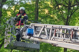 Penig: Feuerwehr rettet hilflose Katze - Ein Feuerwehrmann hält die Katze fest, die zwei Tage auf einem Baum war.
