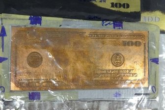 Perfekte Dollar-Blüten aus der Oberlausitz - 