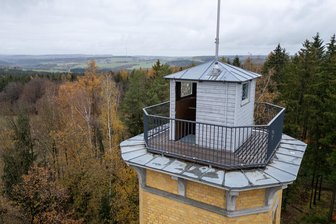 Perlaser Turm von Wipfeln verdeckt: Wenn der Wald zum Problem wird - Auf der 495 Meter hohen Wilhelmshöhe ragt der Perlaser Turm heraus. Allerdings ist der nur 17 Meter hoch, die Fichten drumherum aber viel höher. Sie verdecken die Sicht auf die Umgebung.