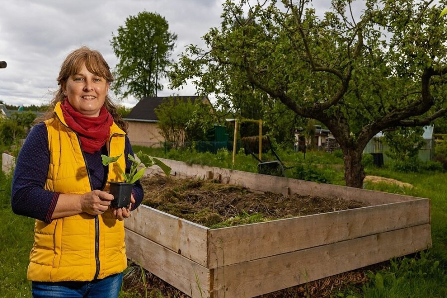 Permakultur: Die Natur arbeitet für mich - Aus Gartenabfällen der Kleingartensparte entsteht ein riesiges Hochbeet. Katrin Reuter wird anfangs Starkzehrer wie Zucchini darauf pflanzen.