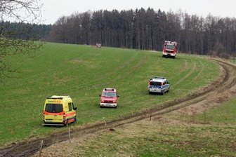 Person bei Waldarbeiten verunglückt - 