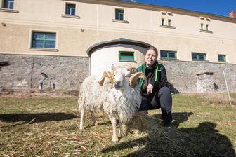 Pfaffengut Plauen öffnet Türen für Heimat- und Naturfreunde - Beate Groh freut sich am Samstag auf Gäste im Pfaffengut.
