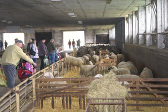 Pfennigsucher finden neue Eigentümer -
