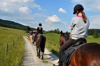 Pferdeäpfel: Natur - oder muss das weg? - Reiten ist beliebt, vor allem in der Natur - auf Straßen wird das skeptisch gesehen. 