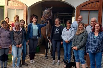 Pferdefreunde Auerswalde gegründet: Verein plant Reitplatz auf ungewöhnlicher Fläche - Der neugegründete Verein Pferdefreunde Auerswalde will einen Reitplatz bauen.