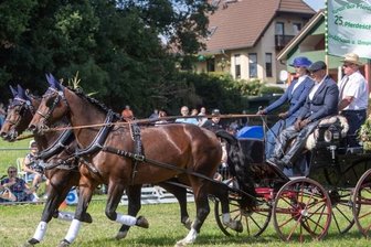 Pferdefreunde locken zum 25. Mal Publikum nach Großfriesen -