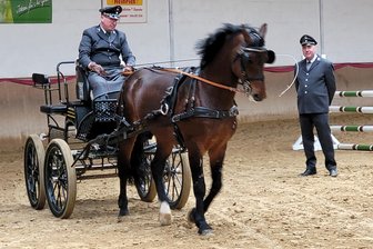 Pferdeliebhaber kommen in Marienthaler Reitanlage auf ihre Kosten - Kommt das Sächsische Landgestüt Moritzburg zur Hengstpräsentation, dann gibt es auch das Zusammenspiel aus Pferd und Kutsche zu erleben.