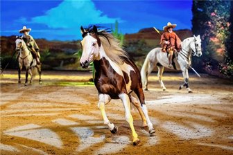 Pferdeshow auf Europatournee in Chemnitz: Warum Tierschützer "Cavalluna" kritisch sehen - Mit seiner aktuellen Pferdeshow "Cavalluna - Geheimnis der Ewigkeit" gastiert das Entertainment-Unternehmen Apassionata World an diesem Wochenende in der Chemnitzer Messe.