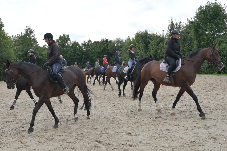 Pferdetag: Reiter trainieren die Dressurquadrille - Auf dem Reitplatz in Dorfchemnitz ist für die Dressurquadrille am Wochenende trainiert worden. 