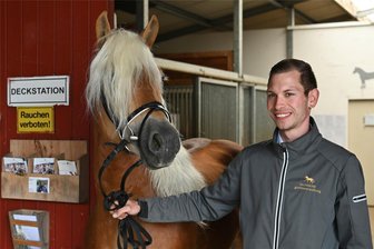 Pferdezucht auf höchstem Niveau: Was passiert in der Deckstation Seelitz? - Eine von zwölf Deckstationen der Sächsischen Gestütsverwaltung ist die in Seelitz. Leiter hier ist Tom Höhne, der den Haflinger-Hengst Abraxas zeigt.