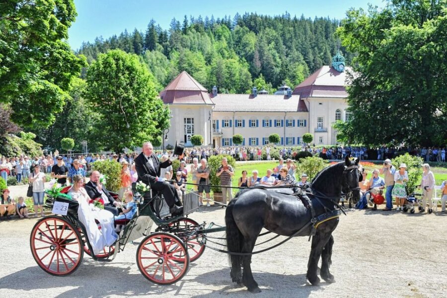 Edle Pferde und historischen Kutschen in Bad Elster.