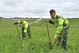 Pflanzaktion am Becken abgeschlossen - Rund um das Hochwasserrückhaltebecken in Neuwürschnitz werden Pflanzungen vorgenommen - im Bild Danny Brödner (li.) und Fabian Hildenbrandt von der ACZ Marienberg GmbH.