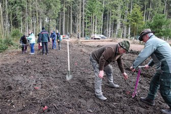 Pflanzaktion am Buß- und Bettag im Reichenbacher Stadtwald - Am Buß- und Bettag ruft die nächste Baumpflanzaktion im Reichenbacher Stadtwald.